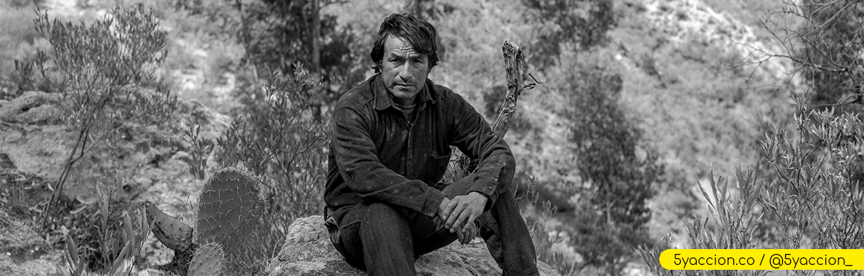 Diógenes_5yaccion_000
